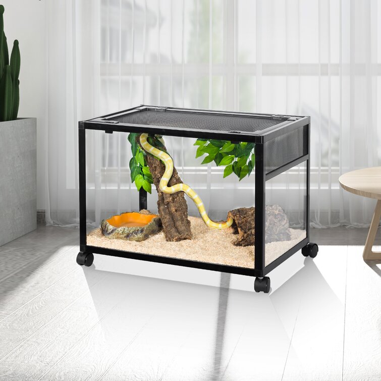 Large glass store terrarium for reptiles